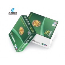 晨鳴chenming金銘洋A4打印紙復(fù)印紙70克木漿紙a4打印紙厚款多功能復(fù)印紙辦公室文件打印 金銘洋70克A4-5包